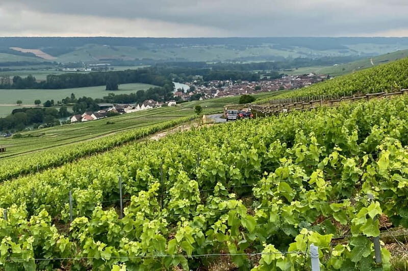 Ruinart Champagne Cellars Tastings Private trip from Paris - FAQ