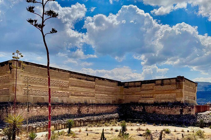 ruins ,colors and maguey private tour - The Practical Details