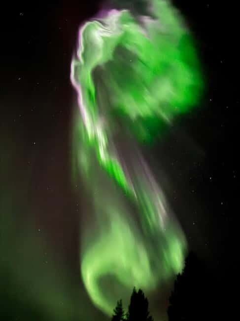 Ruka: Aurora Quest - Northern Lights Hunt by Car - The Value of This Experience