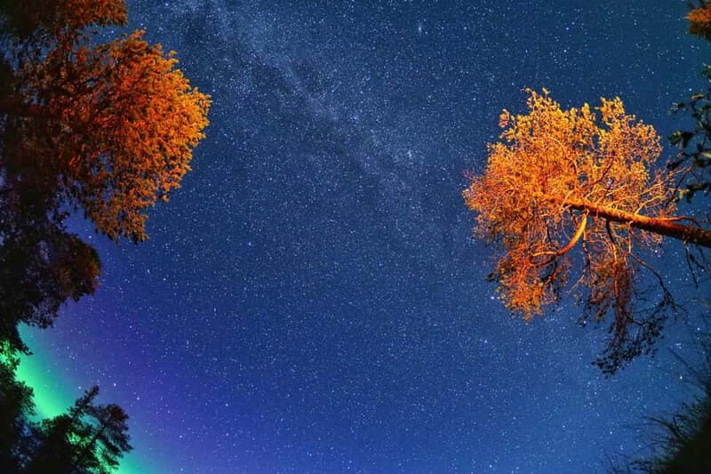 Ruka: Guided Northern Lights Hike - The Experience: What You Can Expect from the Ruka Northern Lights Hike