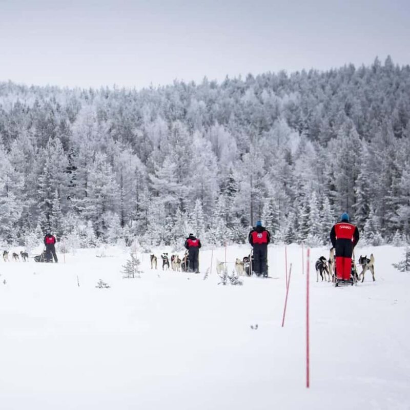 Ruka: Husky Ride and Farm Visit + Fireside Treats - The Experience in Detail