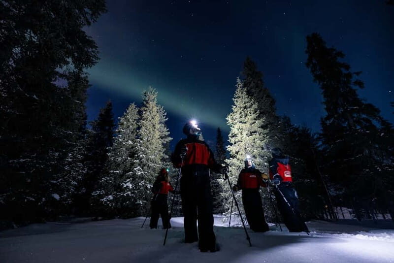 Ruka: Northern Light Hunt by Minivan - Who Should Book This Tour?