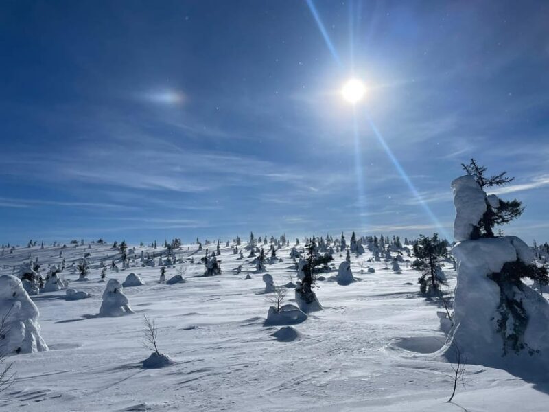 Ruka: Riisitunturi National Park with lunch. - Key Points