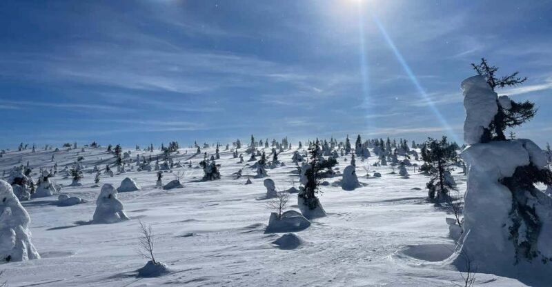 Ruka: Riisitunturi National Park with lunch. - Who Is This Tour Best For?