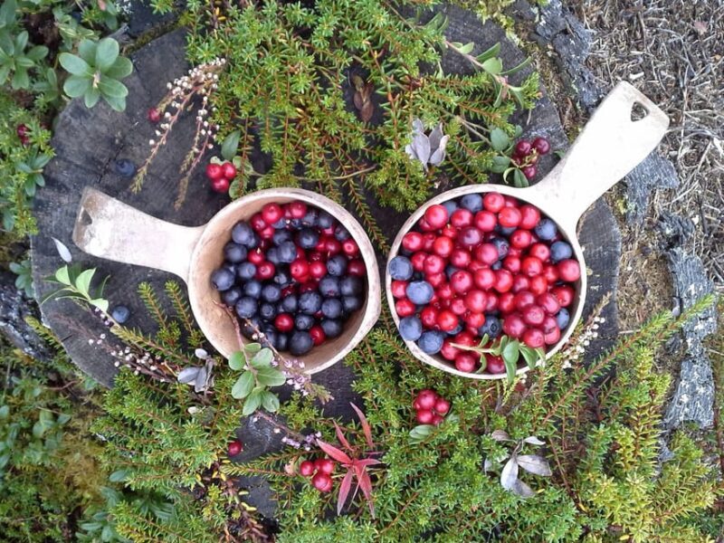 Ruka : Strength from nature  Hiking trip - FAQ