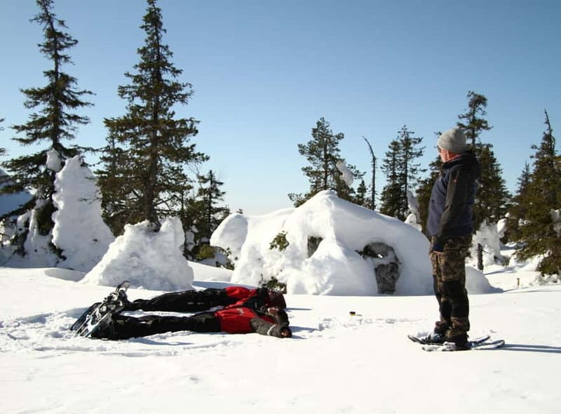 Ruka:Daytime winter wonderland hike - Ruka: Daytime Winter Wonderland Hike — A True Arctic Escape