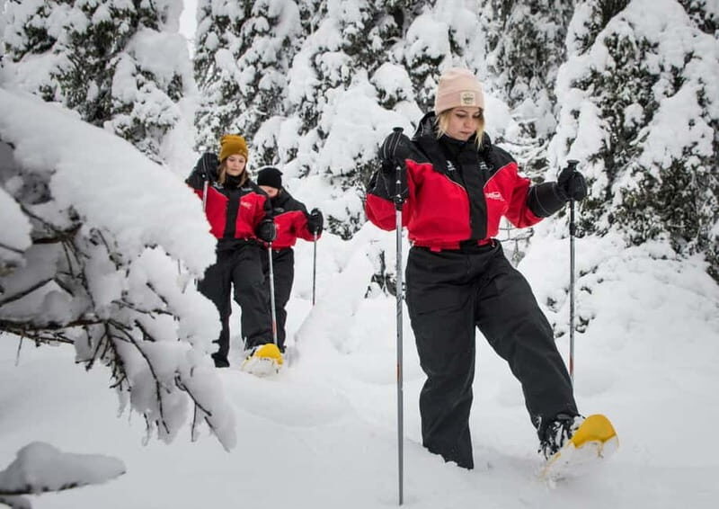 Ruka:Daytime winter wonderland hike - Breaking Down the Itinerary