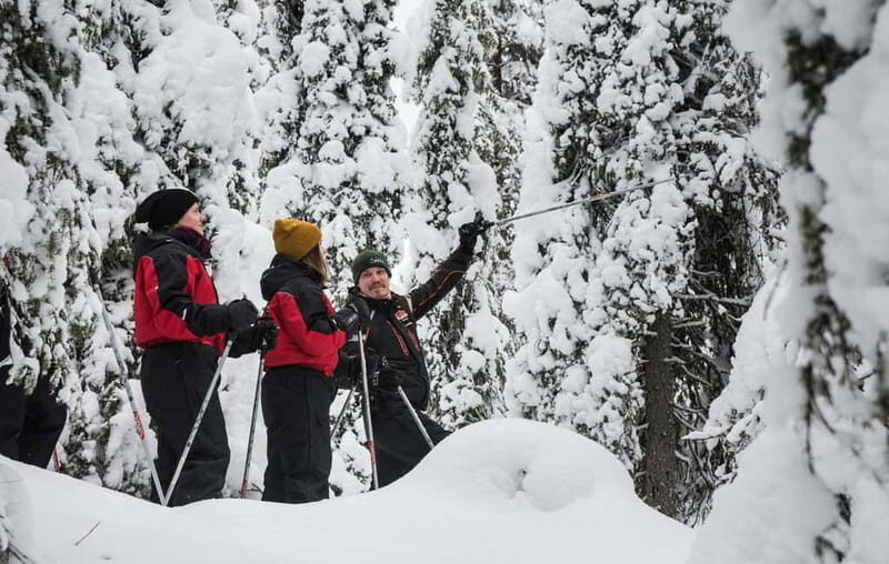 Ruka:Daytime winter wonderland hike - The Sum Up — Who Will Love This Tour?