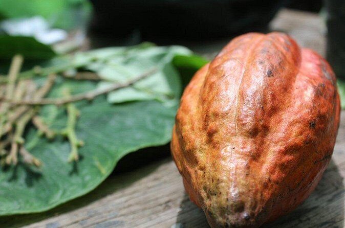 Rum & Chocolate Tasting Tour : Journey into Flavor - Final Thoughts