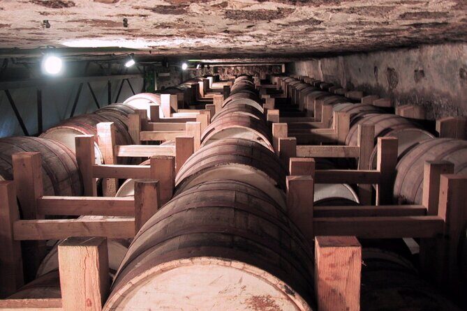 Rum Production Private Tour in Martinique - The Value of a Private Rum Tour