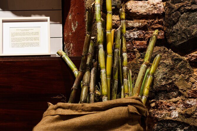 Rum Tasting Experience in the Old Barrel House - Who Will Appreciate This Experience?