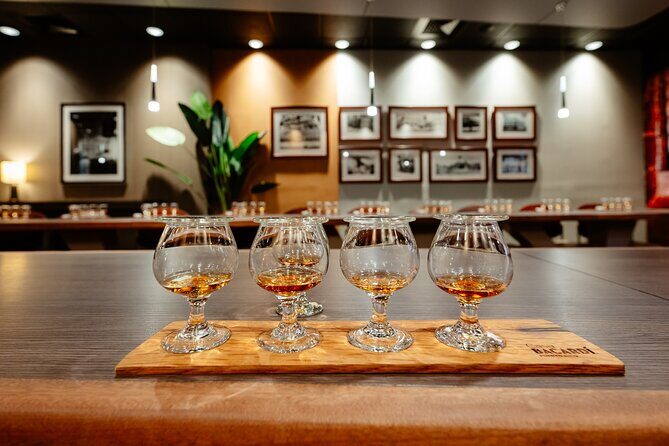 Rum Tasting Tour at Casa BACARDÍ in Puerto Rico - A Detailed Look at the Casa BACARDÍ Rum Tasting Tour