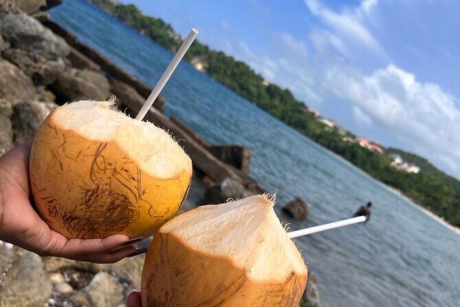 Runaway Bay Transportation Tour Experience - Who Is This Tour Best For?