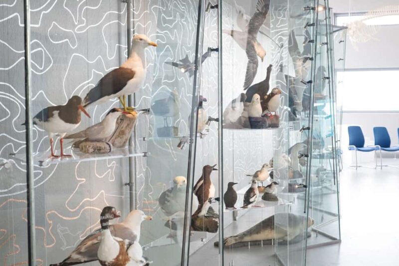 Runde: Guided Tour of Runde Enviromental Centre Exhibition - FAQ