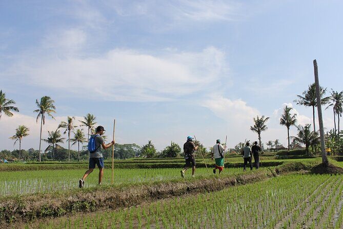 Rural Charm of Bali Tour - Why Choose This Tour?