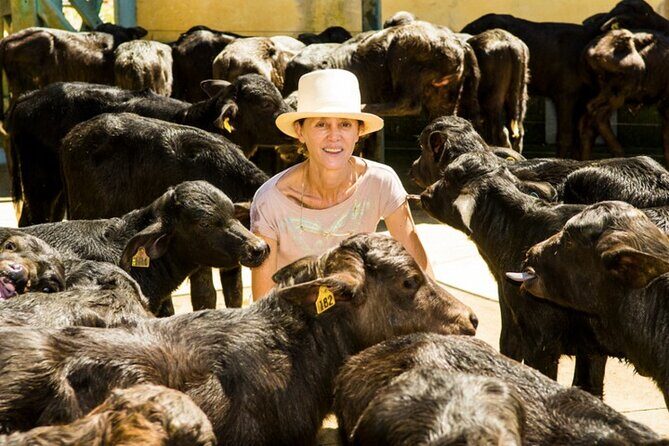 Rural Coffee Farm Tour with Breakfast & Lunch - Roasting & Tasting Experience - Final Thoughts