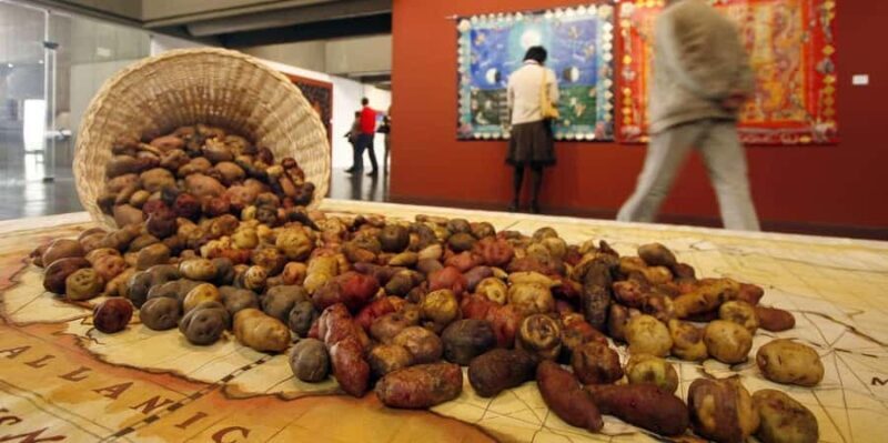 Rural Community Tourism in the Potato Park - Sacred Valley - Practical Tips for Your Trip