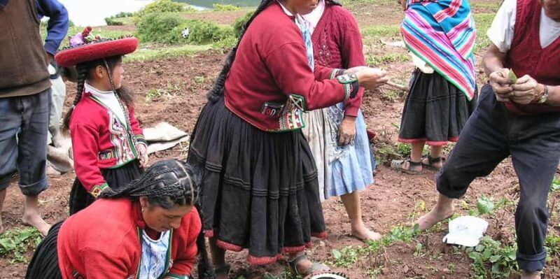 Rural Community Tourism in the Potato Park - Sacred Valley - FAQ