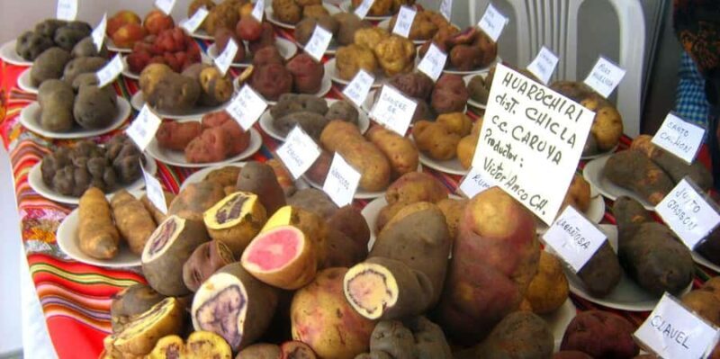 Rural Community Tourism in the Potato Park - Sacred Valley - Who Will Enjoy This Tour?