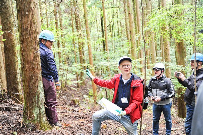 Rural Forestry Tour in Aso Minamioguni - The Sum Up: Is This Tour Right for You?