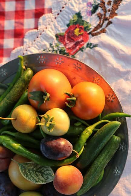 Rural Moldova: Best Yoga Farm Retreat for Soul and Body - Rural Moldova: Best Yoga Farm Retreat for Soul and Body