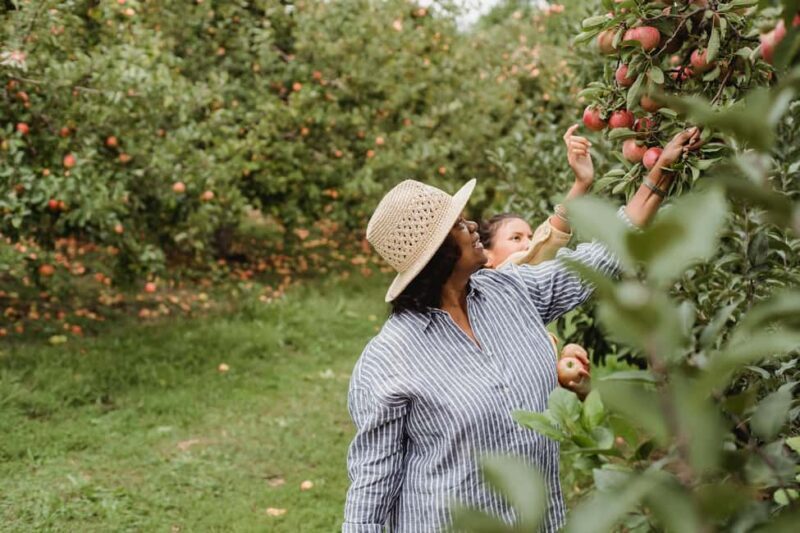 Rural Moldova: Best Yoga Farm Retreat for Soul and Body - FAQ