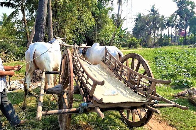 Rural Village with Ox Cart Journey & Monk Blessing - A Taste of Rural Life in Cambodia: The Ox Cart Journey & Monk Blessing Tour