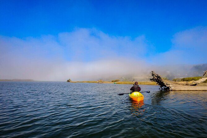 Russian River Kayak Tour at the Beautiful Sonoma Coast - Why This Tour Offers Great Value