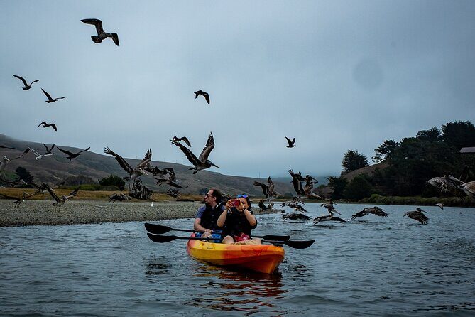 Russian River Kayak Tour at the Beautiful Sonoma Coast - Authentic Insights from Satisfied Travelers