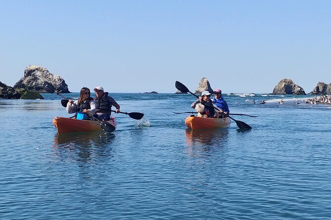 Russian River Kayak Tour at the Beautiful Sonoma Coast - Practical Tips for Your Trip