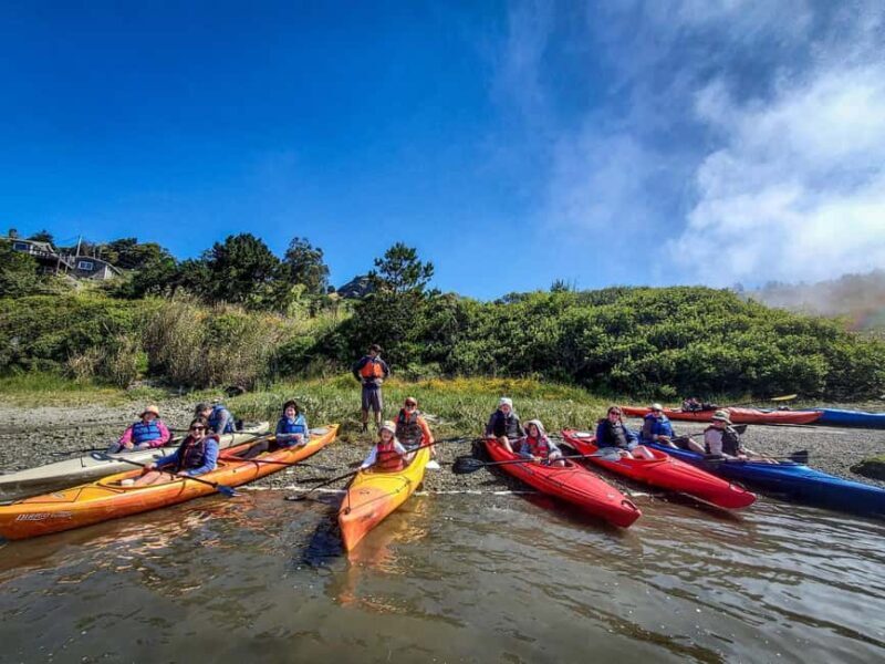 Russian River: Kayak Tour - What Makes This Tour Stand Out?