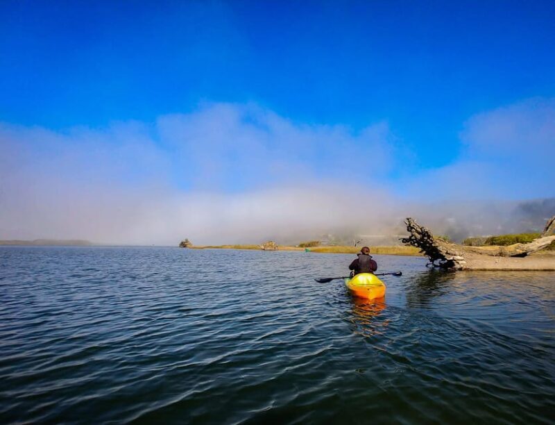 Russian River: Kayak Tour - Practical Considerations and Tips