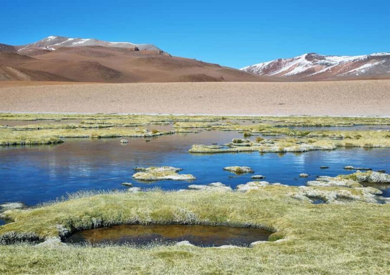 Ruta de los Salares - Guided Tour : San Pedro de Atacama - Chile - Who Should Consider This Tour?