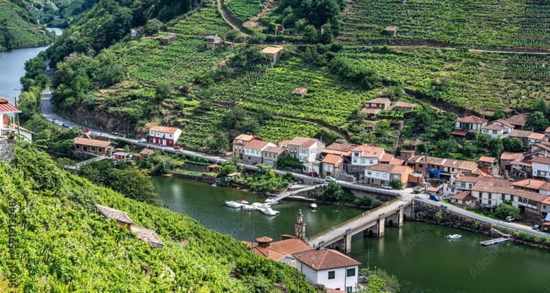 Ruta Ribeira Sacra and Sarria: Between Vineyards, History and the Way of Saint James - Key Points