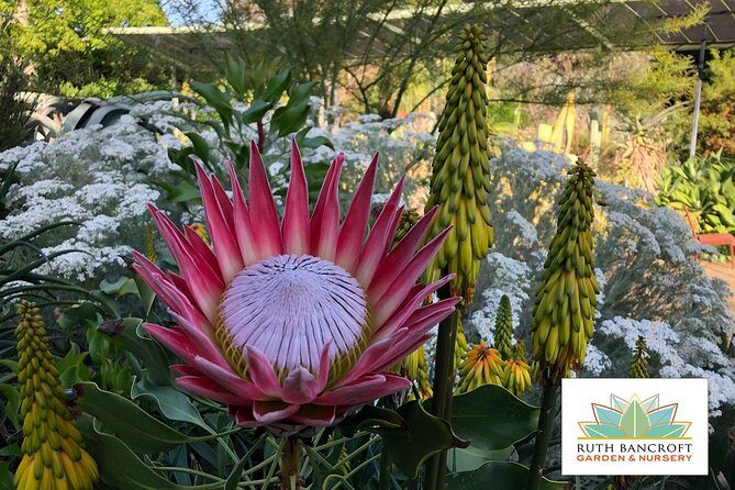 Ruth Bancroft Garden General Admission Ticket - Key Points