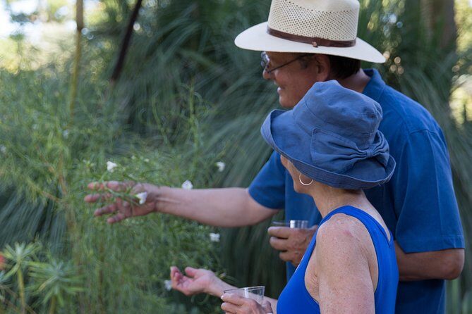 Ruth Bancroft Garden General Admission Ticket - A Deep Dive into the Ruth Bancroft Garden Experience