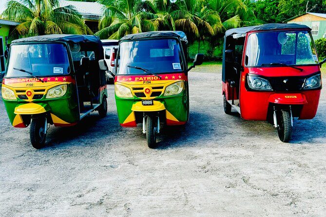 Ryde Tuk Tuk Eco and History Tour in St David Grenada - Key Points