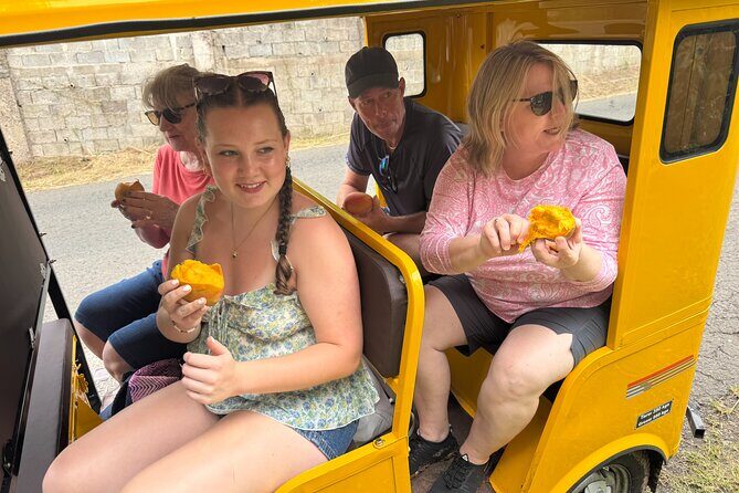 Ryde Tuk Tuk Eco and History Tour in St David Grenada - Final Thoughts: Is It Worth It?