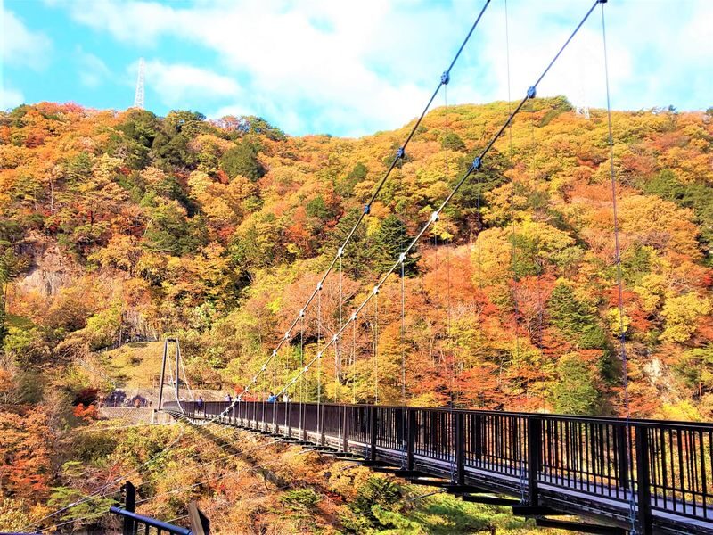 Ryuokyo Canyon Hiking Day Trip | Kinugawa Grand Suspension Bridge + Kinugawa Onsen - The suspension bridge: a short, airy stop