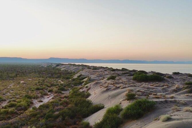 RZR Tour of Mogote Dunes and Sandboarding - Key Points