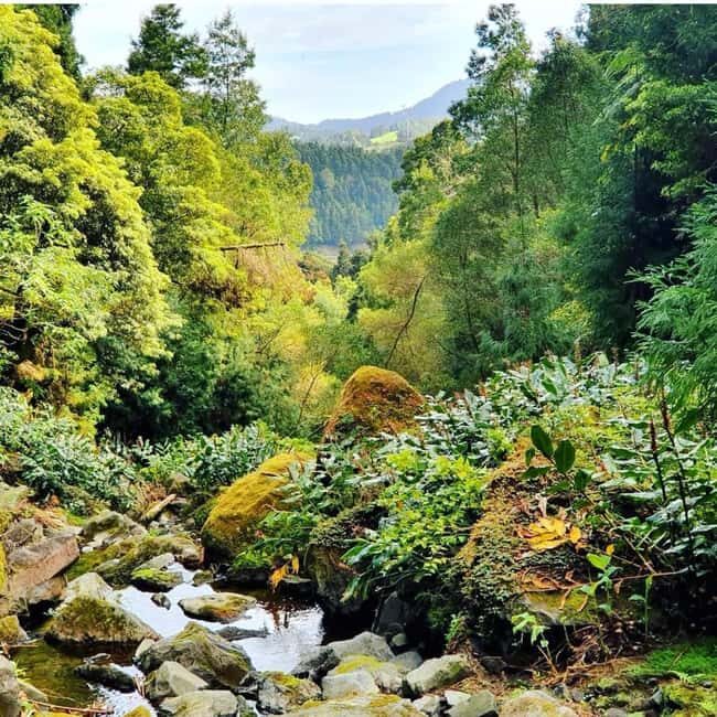 S. Miguel East: Top Scenic Highlights 1 Day Private Tour - Who is this tour best for?