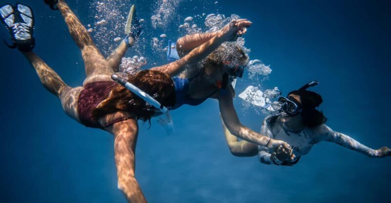 S. Miguel: Snorkeling adventure in Caloura - A Snorkeling Adventure in Caloura: An Authentic Azores Experience