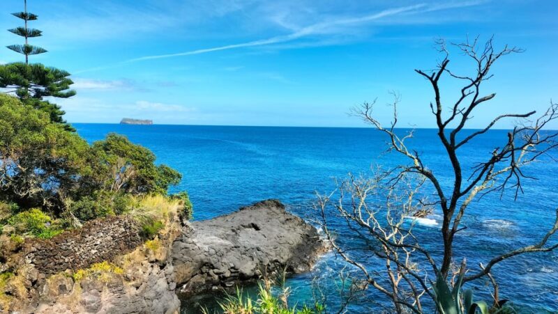 S. Miguel: Snorkeling adventure in Caloura - Who Will Love This Tour?