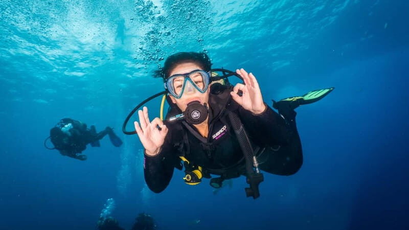 S Tenerife: Guided Boat Dive for Qualified Divers - S Tenerife: Guided Boat Dive for Qualified Divers