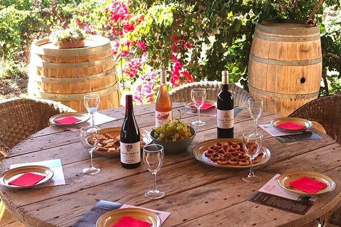 Sa Clasta Mallorca Wine Tours - Who Should Consider This Tour?