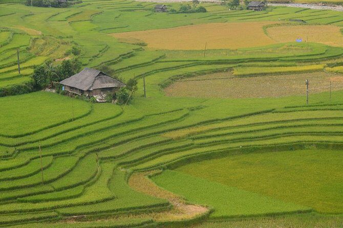 Sa Pa 2-Day Moderate Trek and Homestay Limousine Tour from Hanoi - Transportation and Logistics: What It Means for You