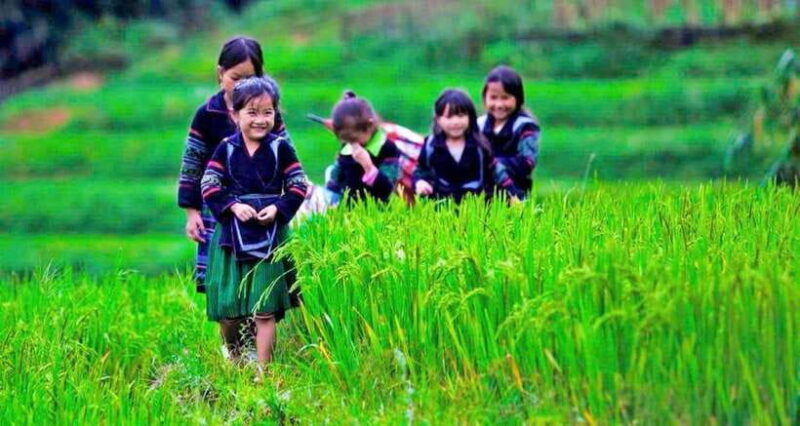 Sa Pa: 2-Day Trekking Tour with Ethnic Minority Homestay - Exploring the Itinerary: What Makes This Trek Special