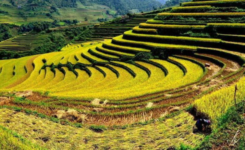 Sa Pa: 2-Day Trekking Tour with Ethnic Minority Homestay - Who Will Love This Tour?