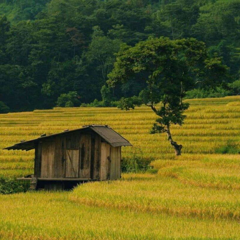 Sa Pa: 2-Day Trekking Tour with Ethnic Minority Homestay - FAQs