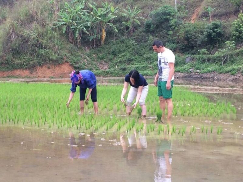 Sa Pa: 6-Hours Muong Hoa Valley Trek with Local Ethnic guide - The Itinerary in Detail